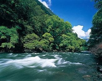 怕震麻玩家的手？Switch2的HD震动功能存在使用时长限制